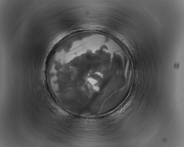 X0000100331071200806191102