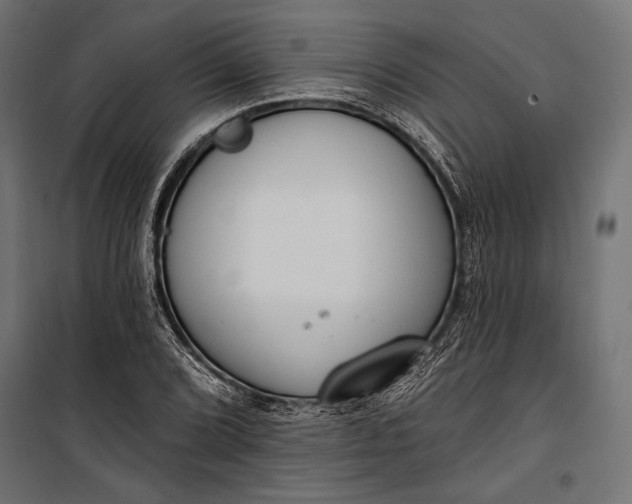 X0000100331072200806191102