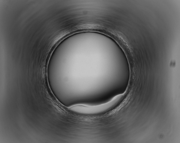 X0000100331073200806191102