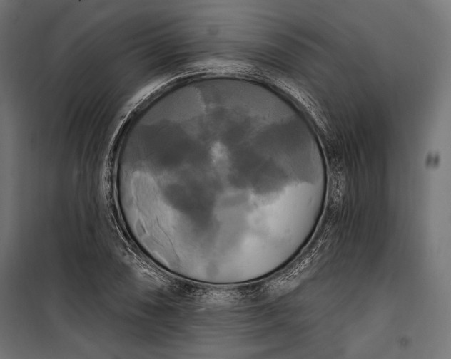 X0000100331074200806191102