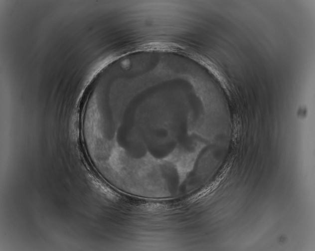 X0000100331075200806191102