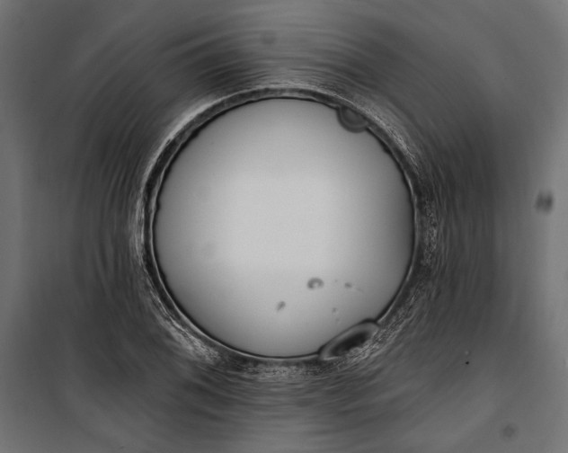 X0000100331076200806191102