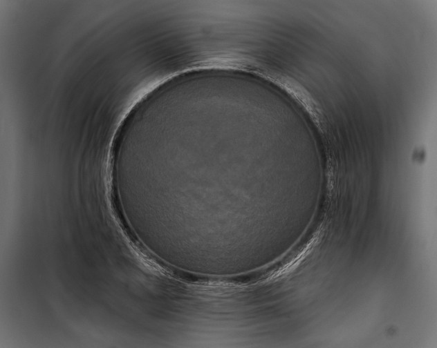 X0000100331077200806191102