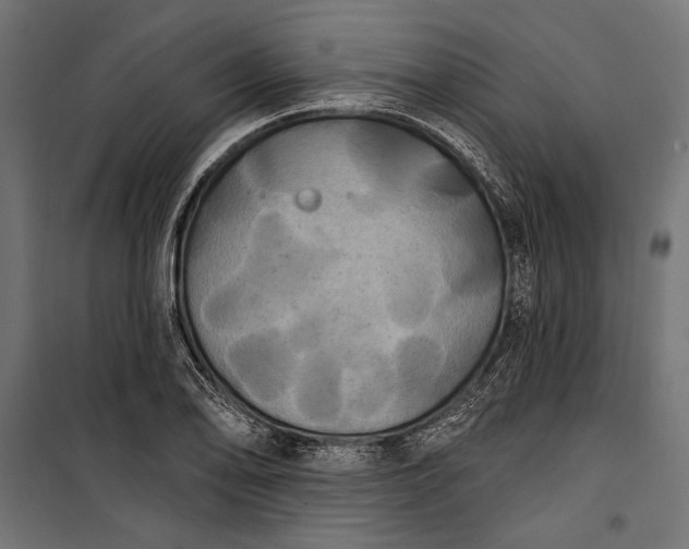 X0000100331078200806191102