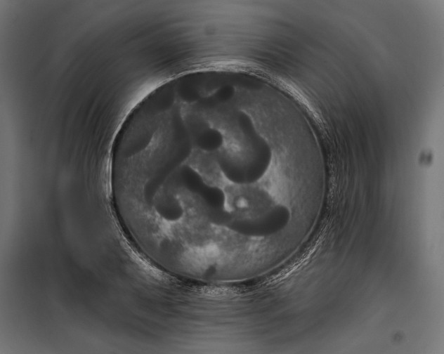 X0000100331079200806191102