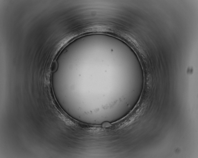 X0000100331081200806191102