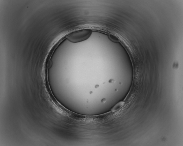 X0000100331082200806191102