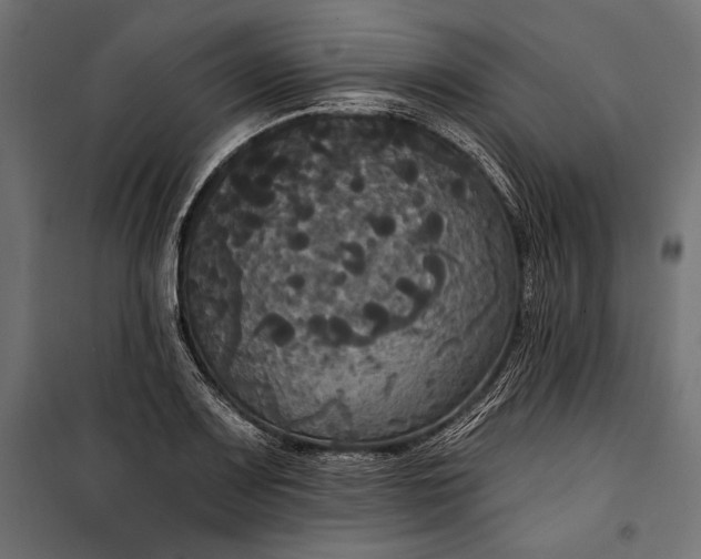 X0000100331083200806191102