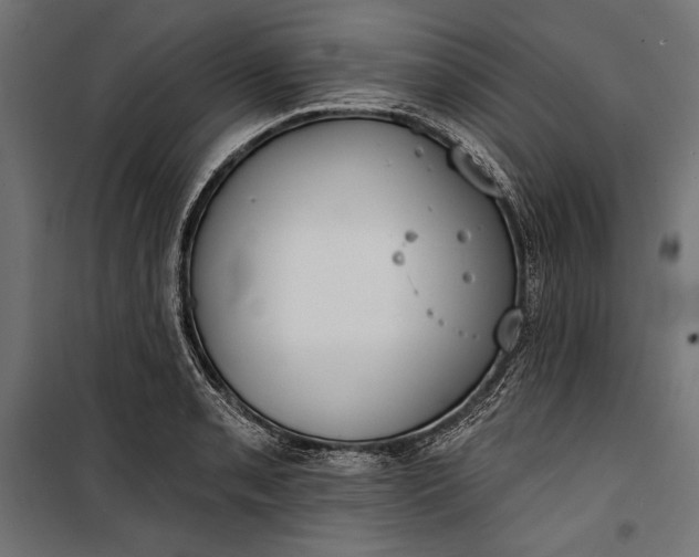 X0000100331085200806191102