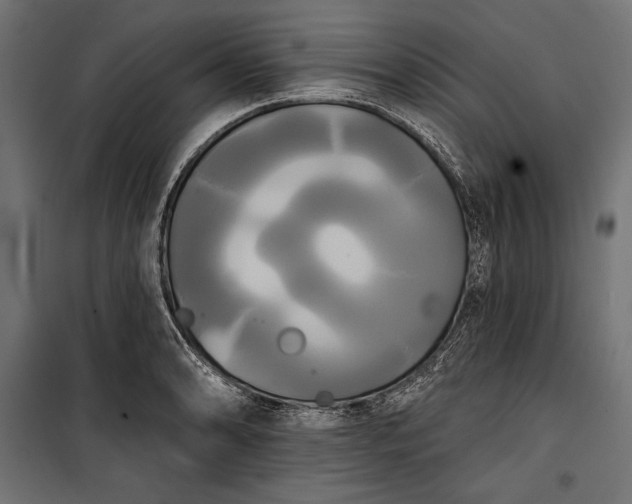 X0000100331086200806191102