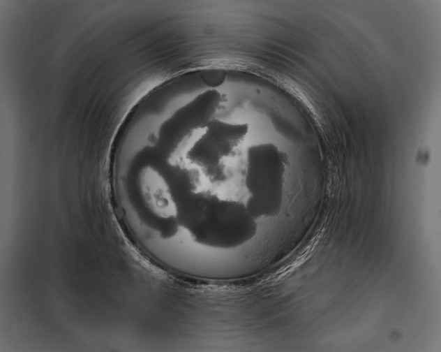 X0000100331087200806191102