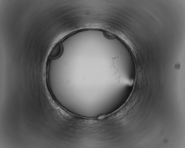 X0000100331088200806191102