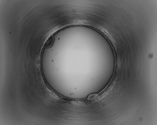 X0000100331089200806191102