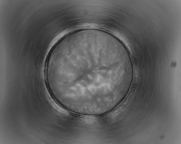 X0000100331090200806191102