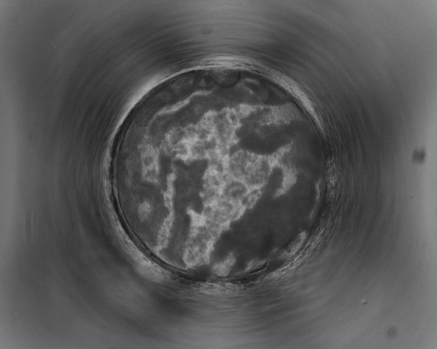 X0000100331091200806191102