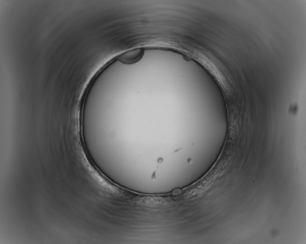 X0000100331092200806191102