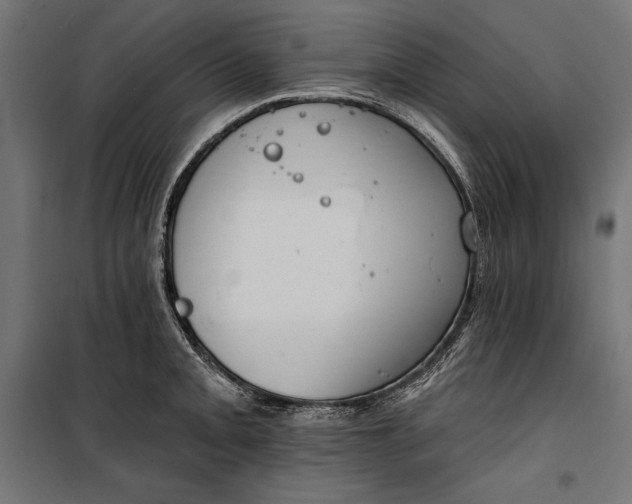 X0000100331093200806191102