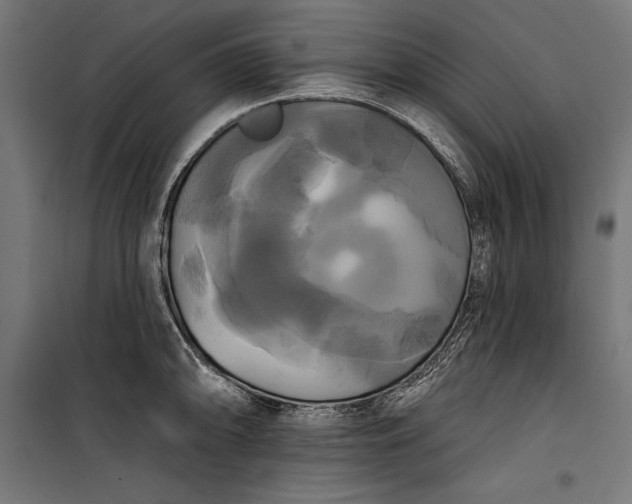 X0000100331094200806191102