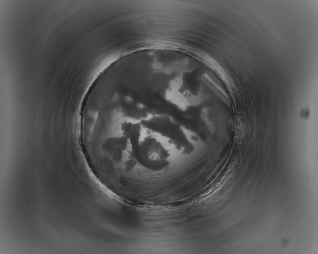 X0000100331095200806191102