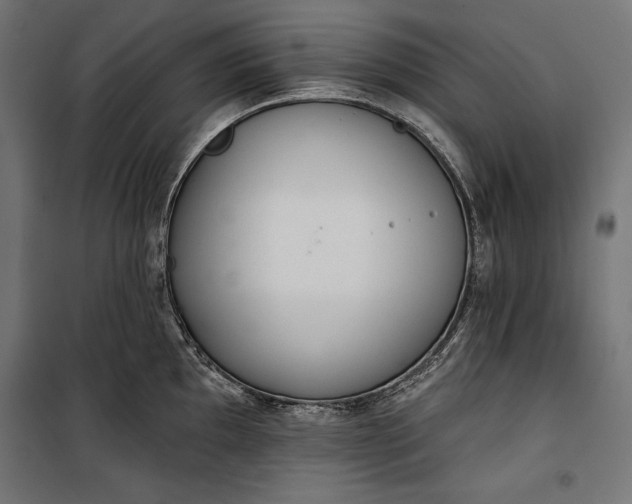 X0000100331097200806191102