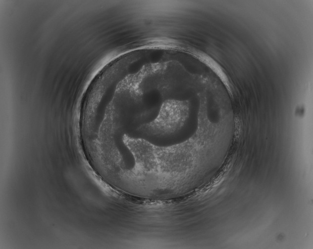 X0000100331099200806191102