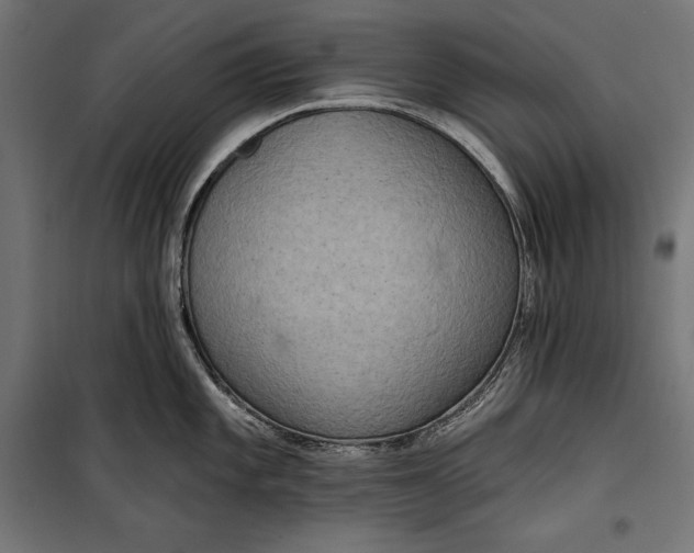 X0000100331101200806191102