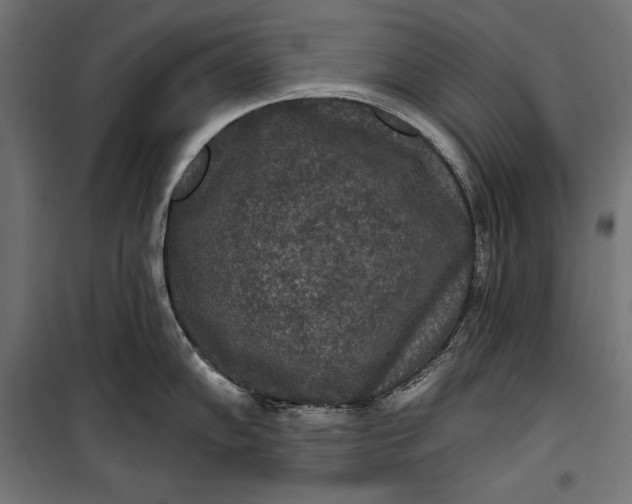 X0000100331102200806191102