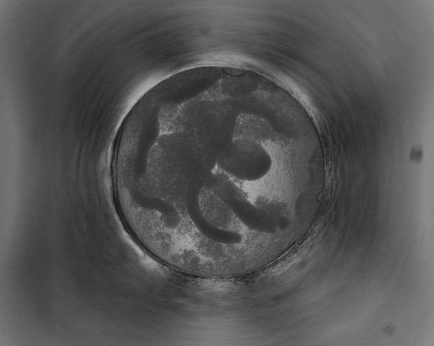 X0000100331103200806191102