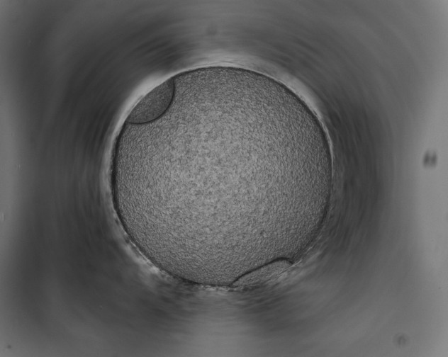 X0000100331104200806191102