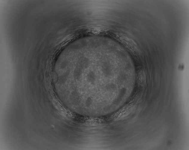 X0000100331105200806191101