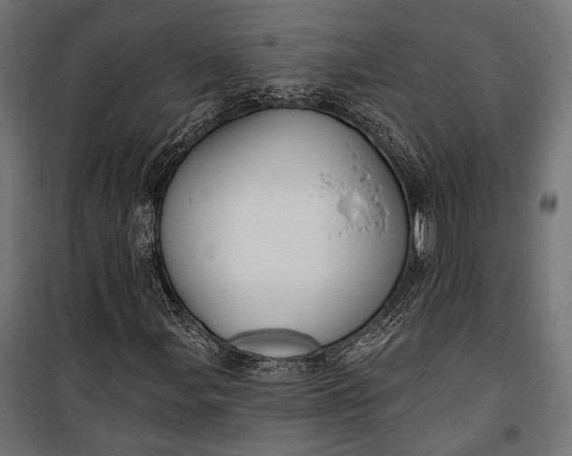 X0000100331107200806191101