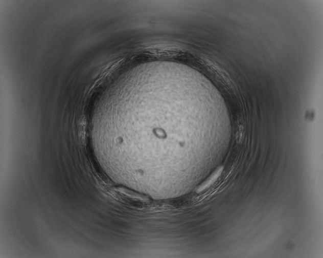 X0000100331108200806191101