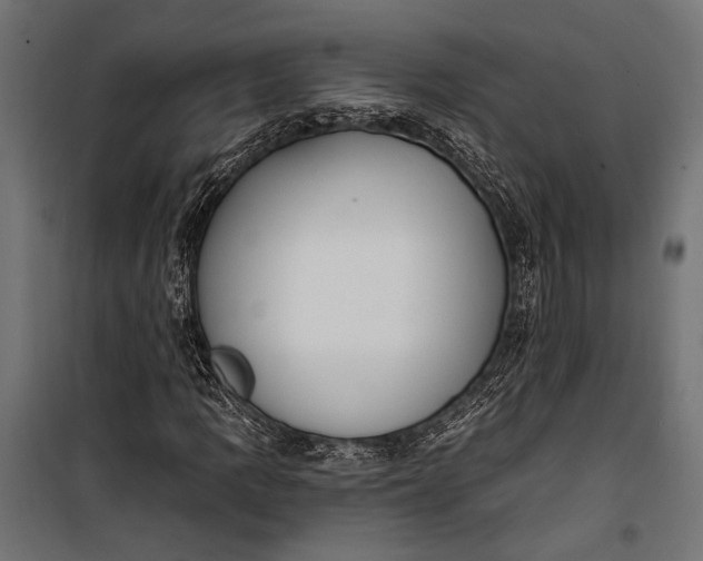 X0000100331109200806191101