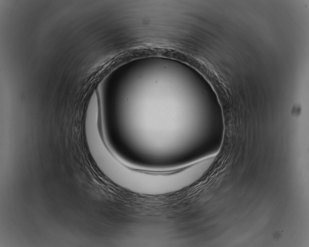 X0000100331110200806191101