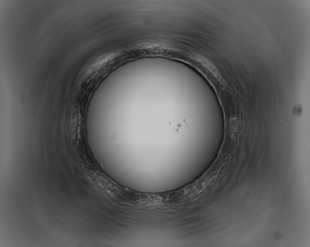 X0000100331111200806191101