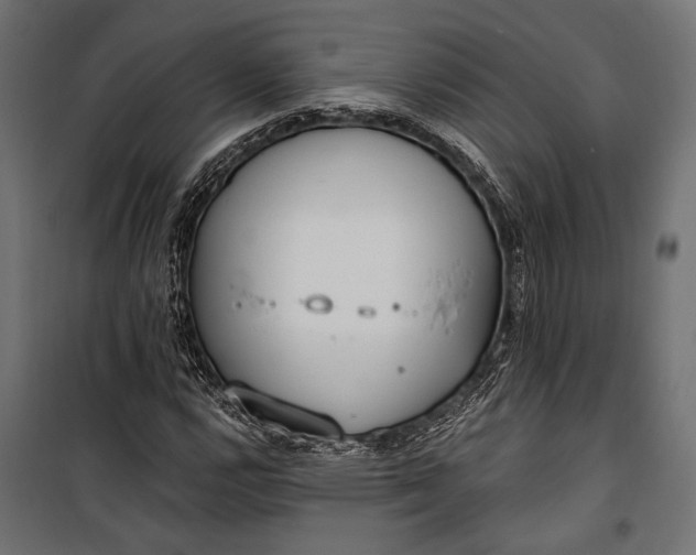 X0000100331112200806191101