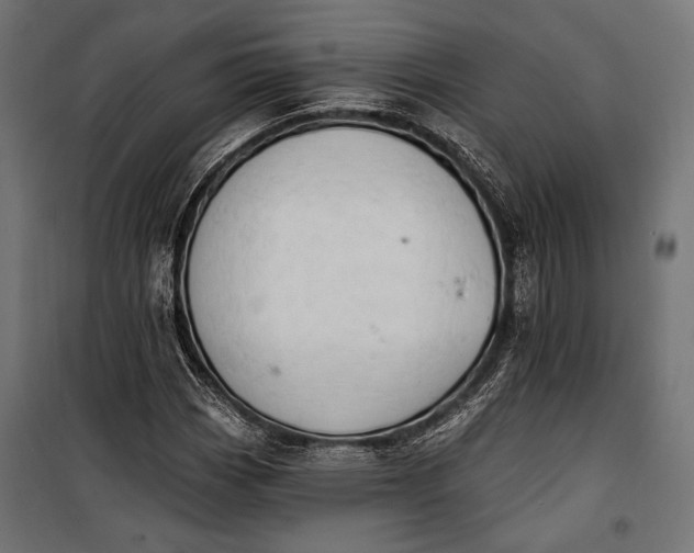 X0000100331113200806191101