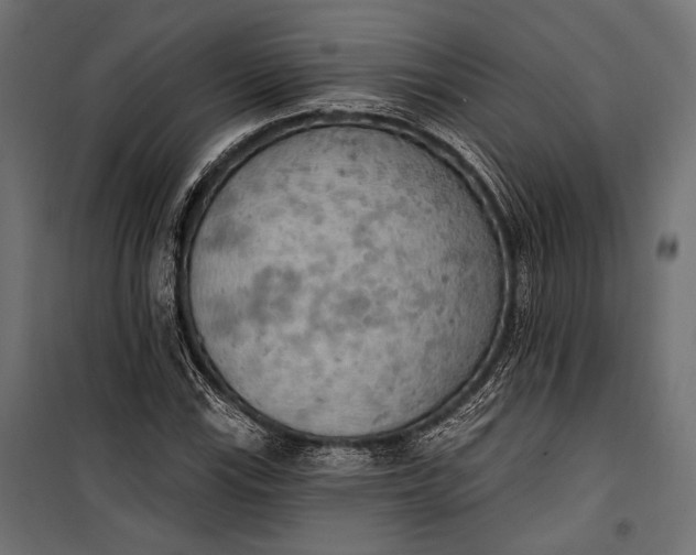 X0000100331115200806191101