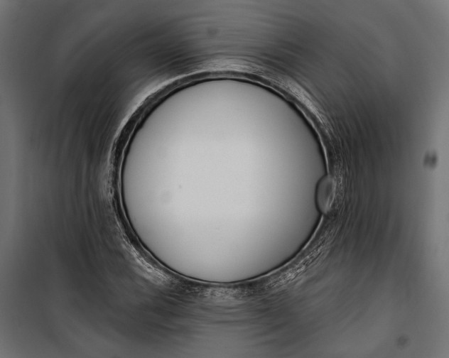 X0000100331116200806191101