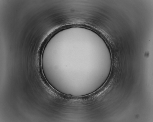 X0000100331118200806191101