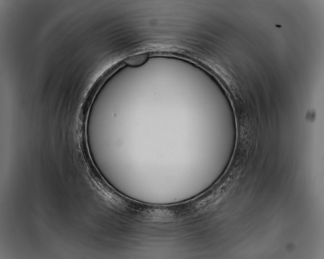 X0000100331119200806191101