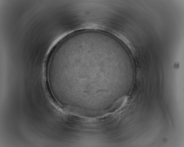 X0000100331120200806191101