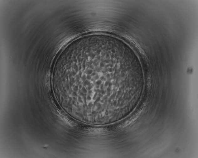 X0000100331121200806191101