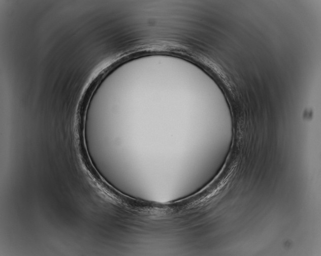 X0000100331122200806191101