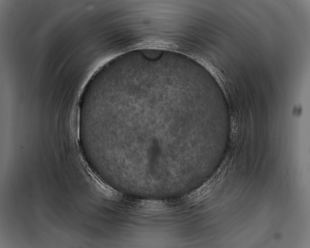 X0000100331123200806191101