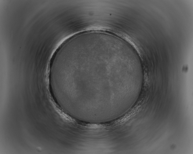 X0000100331124200806191101