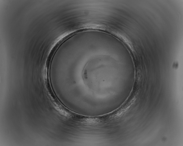 X0000100331125200806191101