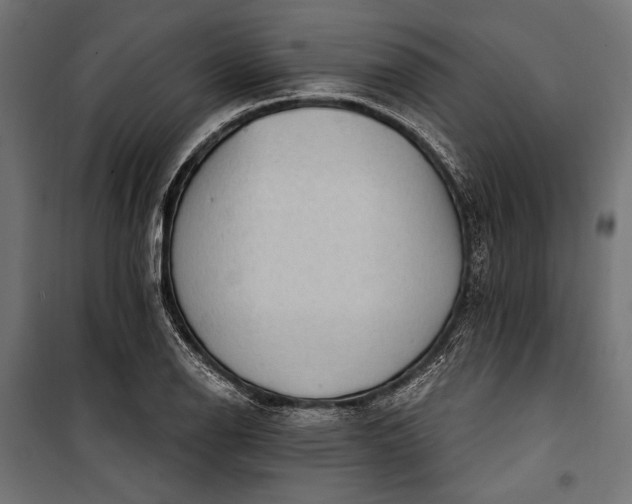 X0000100331126200806191102