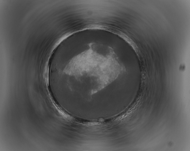 X0000100331127200806191102