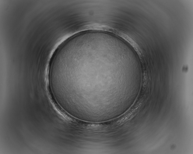 X0000100331128200806191102